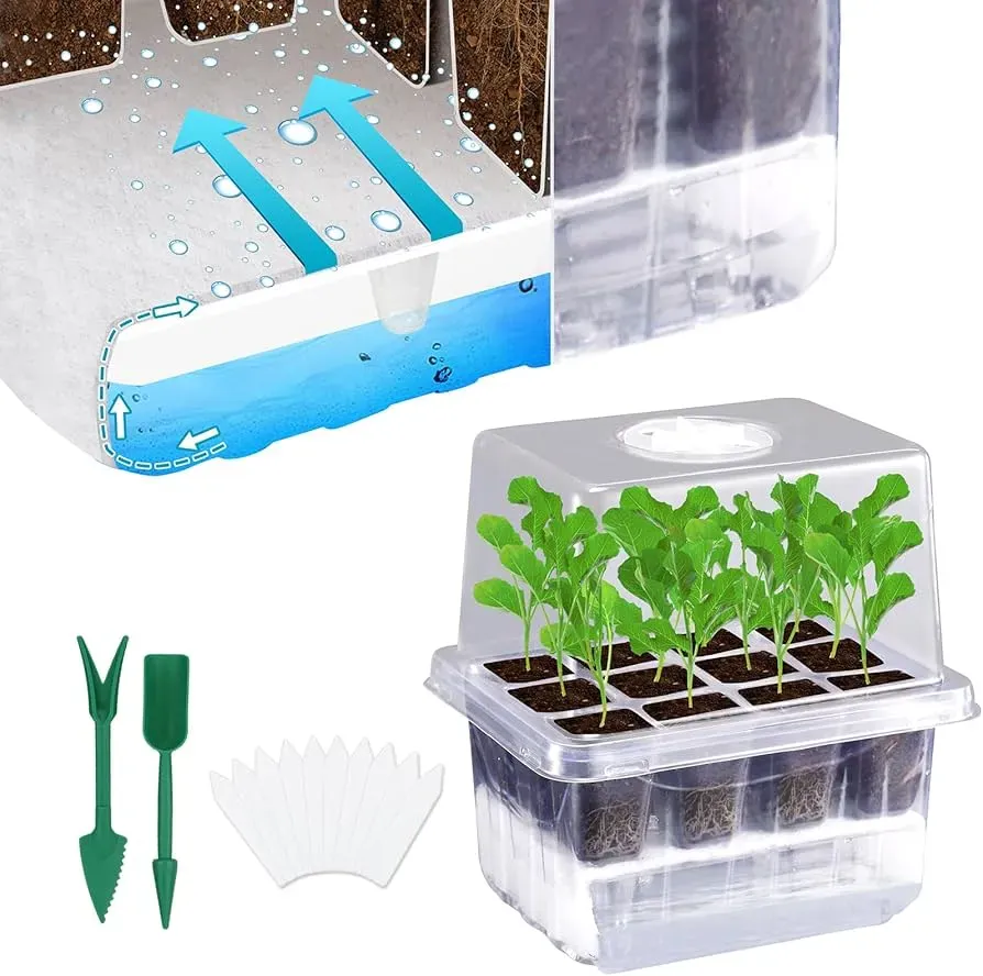 10 Essential Tips For Using Humidity Trays To Boost Plant Health