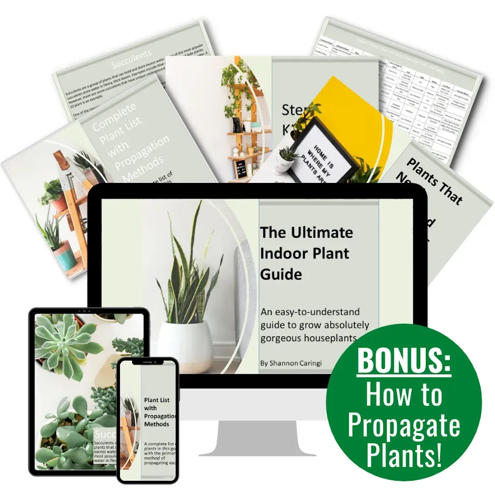 Access The Ultimate Propagation Methods For Your Garden