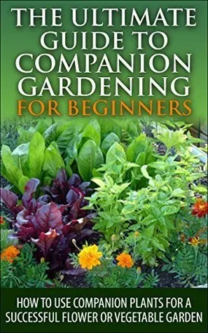 Advanced Companion Planting Techniques For A Thriving Garden