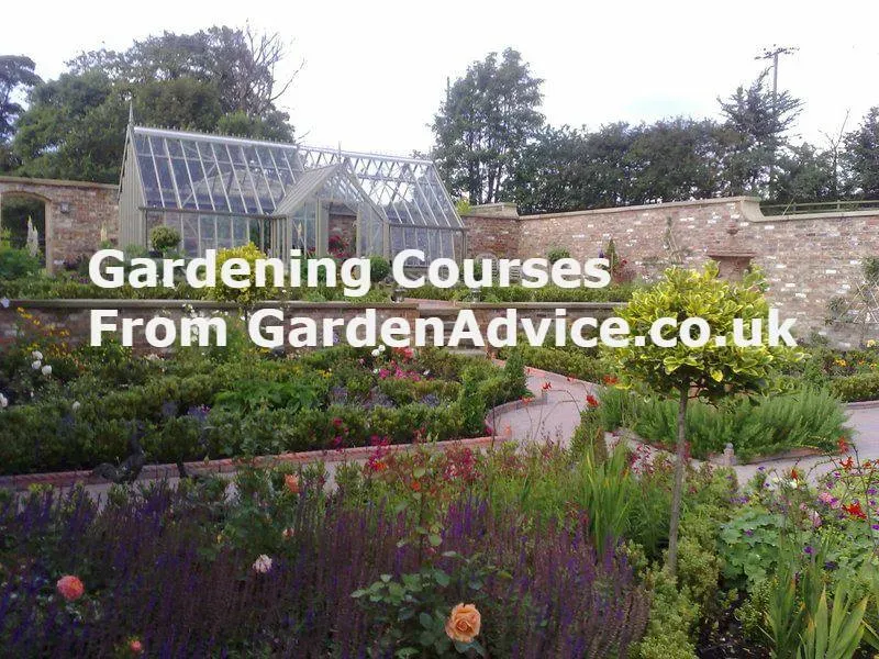 Advanced Gardening Courses Specialization And Expertise