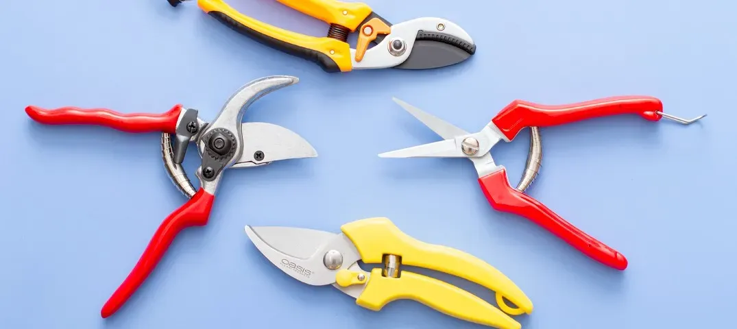 Amazing Pruning Shears: Ultimate Guide