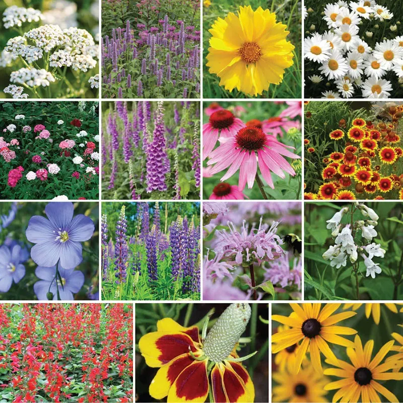 Choosing Deerresistant Plants For Your Garden