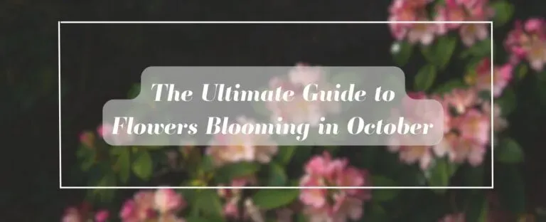 Flower Color: The Ultimate Guide To Vibrant Blooms - Lilyflower