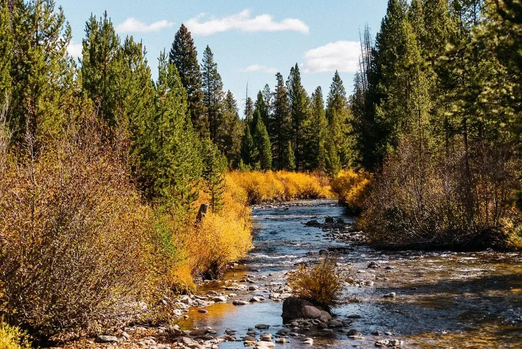 How To Enjoy And Preserve Fall Foliage Color