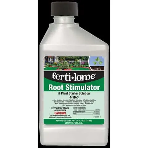 Open Up The Strength Of Root Stimulants: Ultimate Plant Growth Solution - Lilyflower