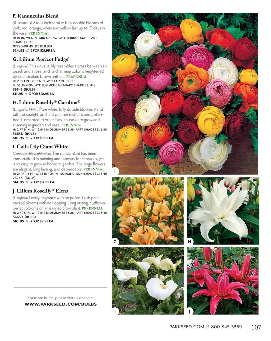 Pollenfree Lilies A Guide To Varieties And Care