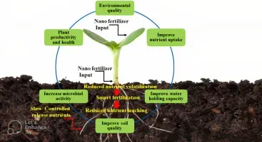 Reveal The Capability Of Soil Conditioners For A Greener Tomorrow - Lilyflower