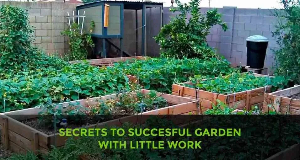 The Ultimate Guide To Gardening Tips For Success